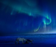 782 - THE AURORA BOREALIS - ZHANG LIANGUAN - china <div